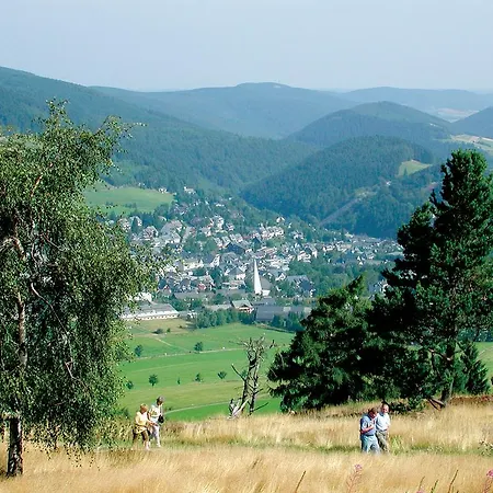Fewo C Am Kurpark**** Willingen (Upland)
